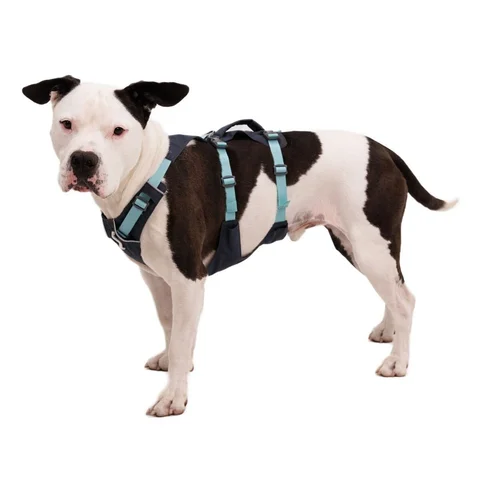 Ruffwear Flagline grå/turkos S